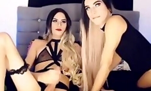 babyqueens shemale transsexual webcam