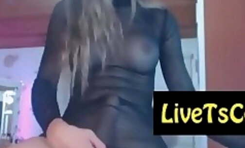 pretty white inked transsexual live on live webcam part