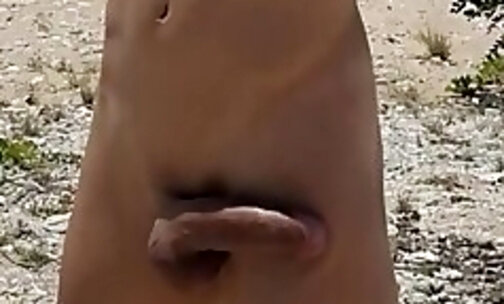 Sexy shemale exhibitionist strokes big cock on beach