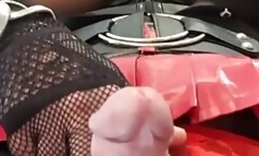 CD cock show