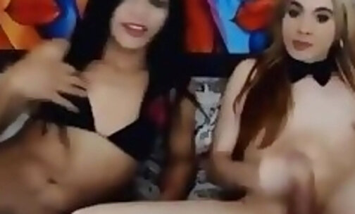 two tranny jerking on webcam