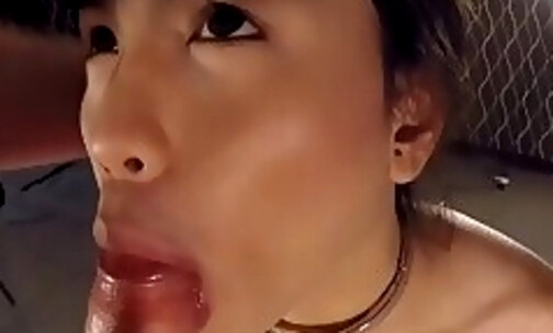 Ladyboy Swikky Gives A Good Blowjob And Ass Barebacked