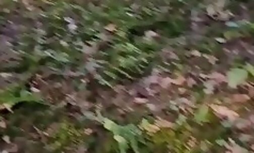 shemale fucks guy in the forest