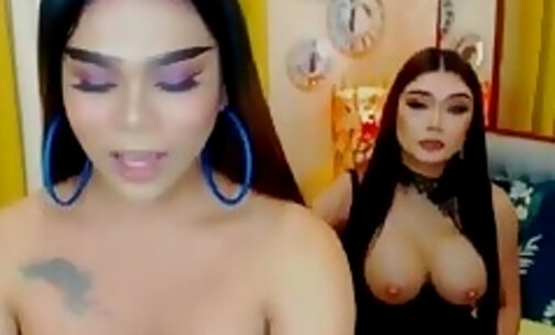 Big tits trans women fucking