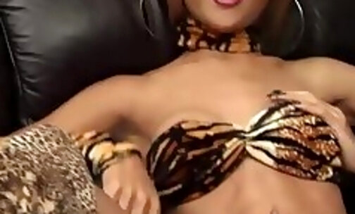 Short-haired ladyboy in tiger bra pulls out a hairy cock till messy orgasm
