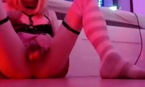 Cute trans Lili in high knees socks and chastity cage f