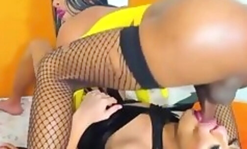ebony latina shemale in fishnet stockings gets blowjob with her trans friend
